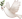 Dove of Peace with Olive Tree Icon.gif