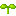 Little Bud Icon