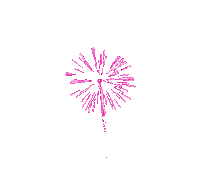 Pink Fireworks Icon.gif