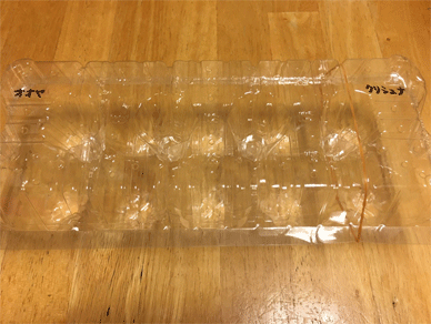 An empty egg package/egg case for planting Holy Basil Tulsi seeds ホーリーバジル(トゥルシー)の種まきの為の空になった卵ケース/卵パック Holy Basil -Tulsi Aug 2 2020 102- Using a package for Eggs for-plant seeds of Holy Basil Tulsi