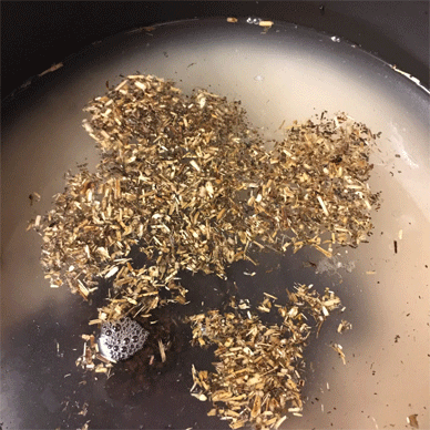 Holy Basil Tulsi Aug 19 2020 16 - Holy Basil Rice Holy Basil and Mugicha Omugi Gohan Zakkoku