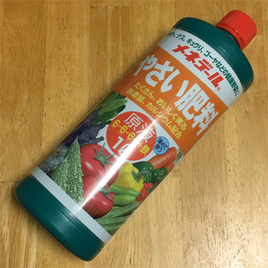 Holy Basil Tulsi Dec 10 2020 11 - New Menedael Liquid Fertilizer for Vegetables