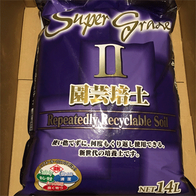 Holy Basil Tulsi Dec 1 2020 1 - Trying New Soil called Super Grade II