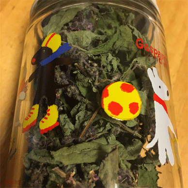 Holy Basil Tulsi Dec 2 2020 12 - Making Homemade Holy Basil Tea with Dried Oya Tulsi