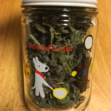 Holy Basil Tulsi Dec 2 2020 13 - Making Homemade Holy Basil Tea with Dried Oya Tulsi