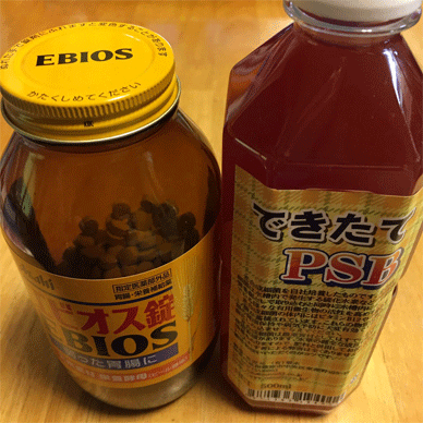 Holy Basil Tulsi Feb 11 2021 8 - Culturing PSB the Photosynthetic Bacteria for Soil Improvement