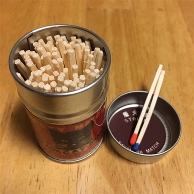 Holy Basil Tulsi Feb 13 2021 25 - Pest Control Using Matches against Fungus Gnat Larvae