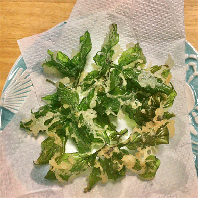 Holy Basil Tulsi Oct 3 2020 30 - Oya Tulsi 2gou HANAME the Flower Buds Tempura Tenpura