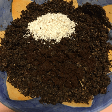 Holy Basil Tulsi Sept 29 2020 23 - Making nutrient packed soil for Krishna Tulsi Newly seeding