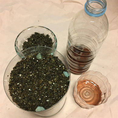 Holy Basil Tulsi Sept 29 2020 29 - Making nutrient packed soil for Krishna Tulsi Newly seeding